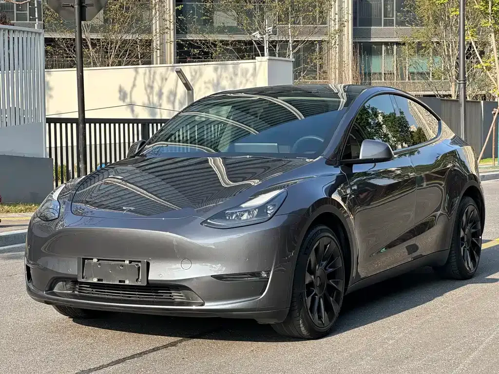 Tesla Model Y 2021 из CN, фото 1