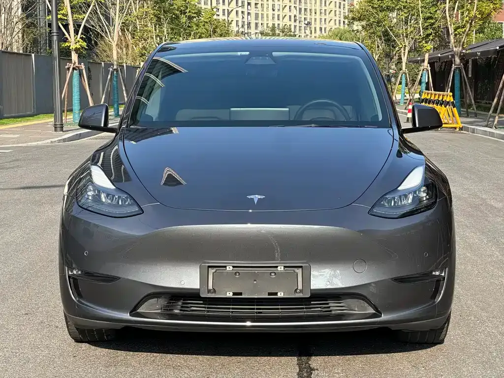 Tesla Model Y 2021 из CN, фото 2