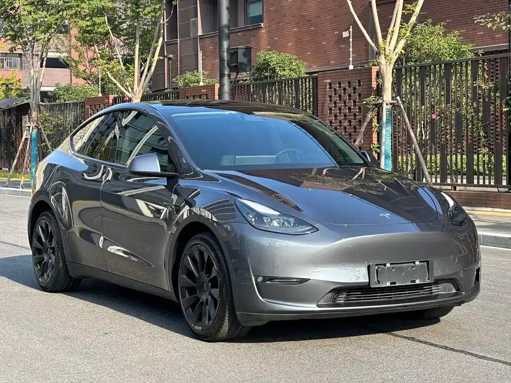 Tesla Model Y 2021 из CN, фото 3