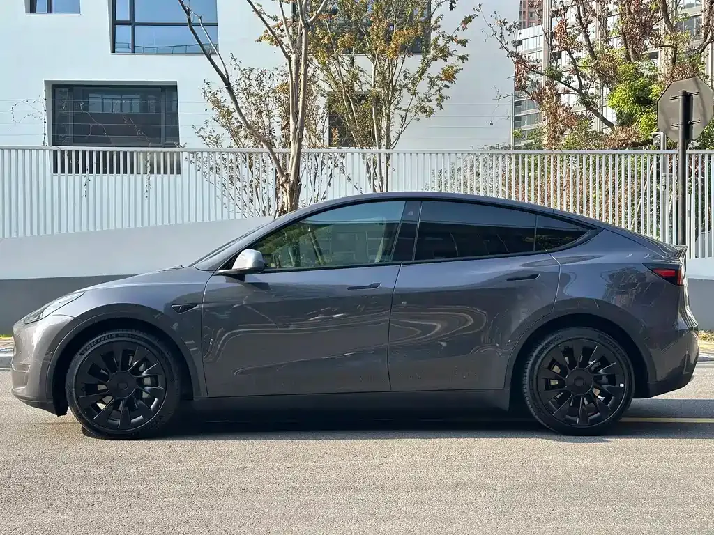 Tesla Model Y 2021 из CN, фото 4