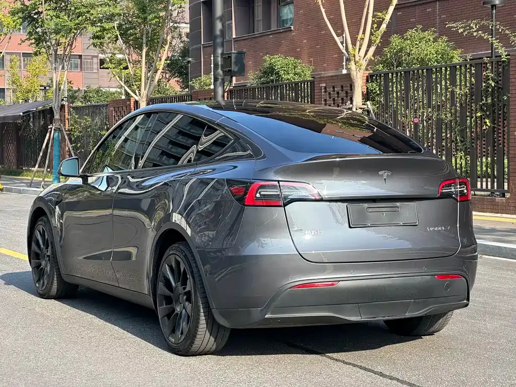 Tesla Model Y 2021 из CN, фото 5