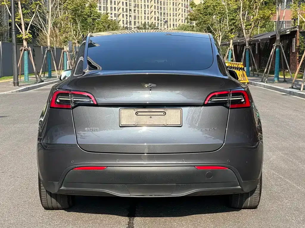 Tesla Model Y 2021 из CN, фото 6
