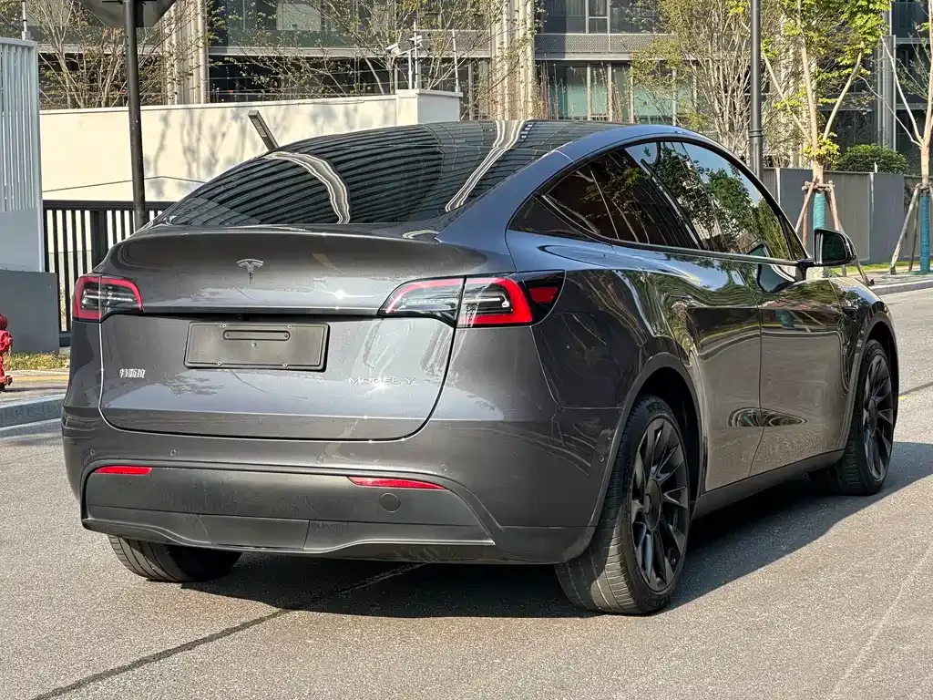 Tesla Model Y 2021 из CN, фото 7