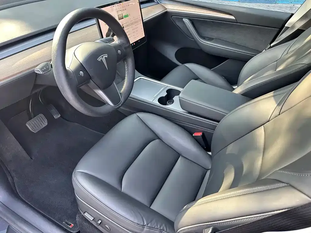 Tesla Model Y 2021 из CN, фото 8