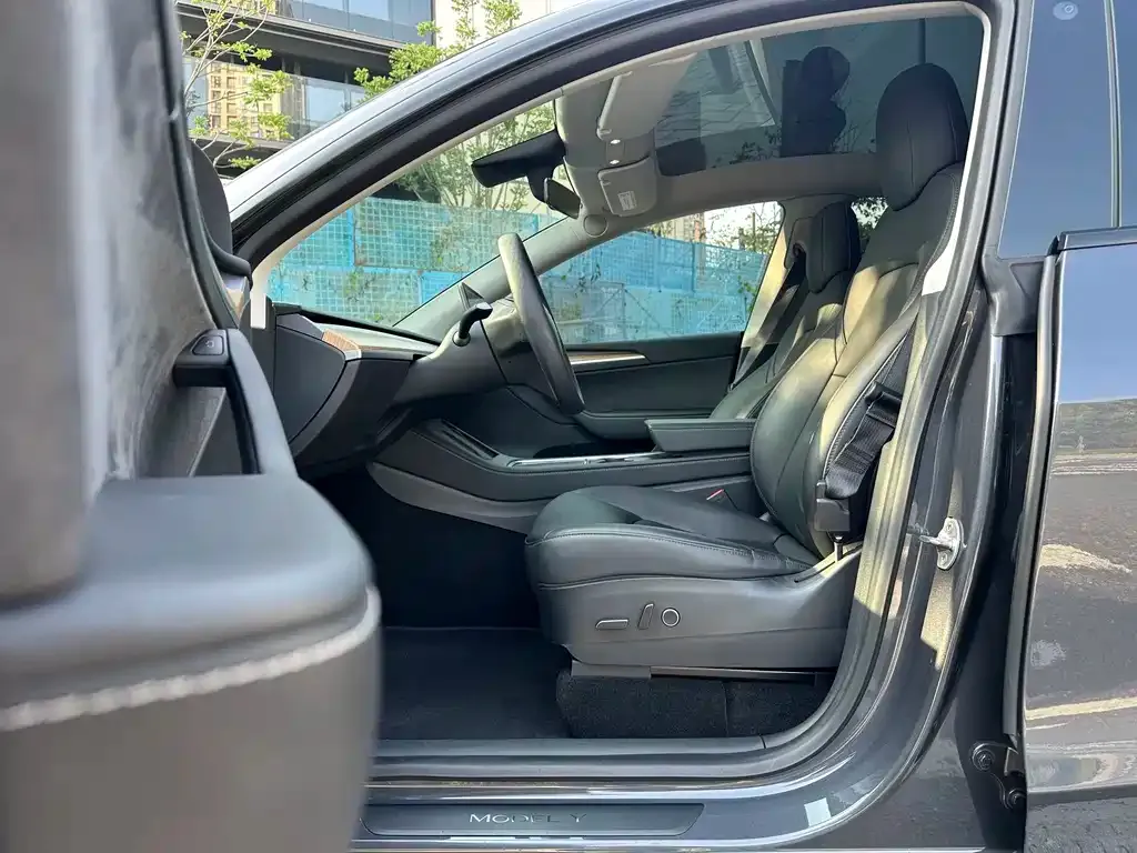 Tesla Model Y 2021 из CN, фото 9