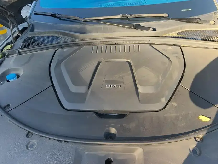 BYD PLUS New Energy 2024 из CN, фото 10