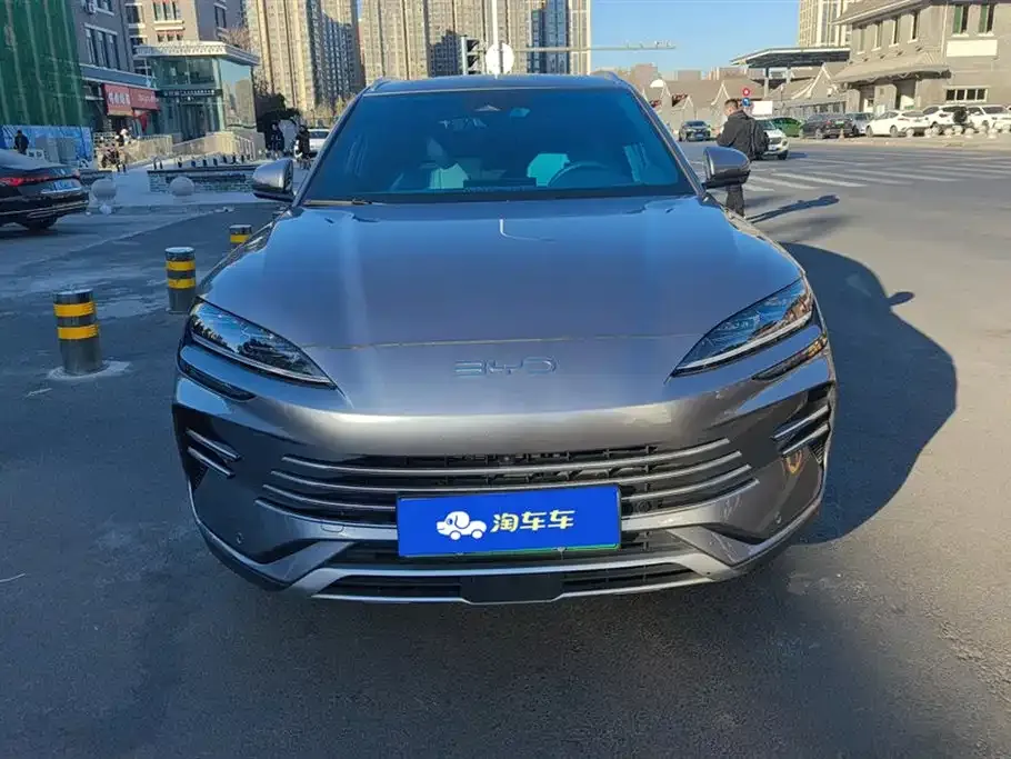 BYD PLUS New Energy 2024 из CN, фото 2