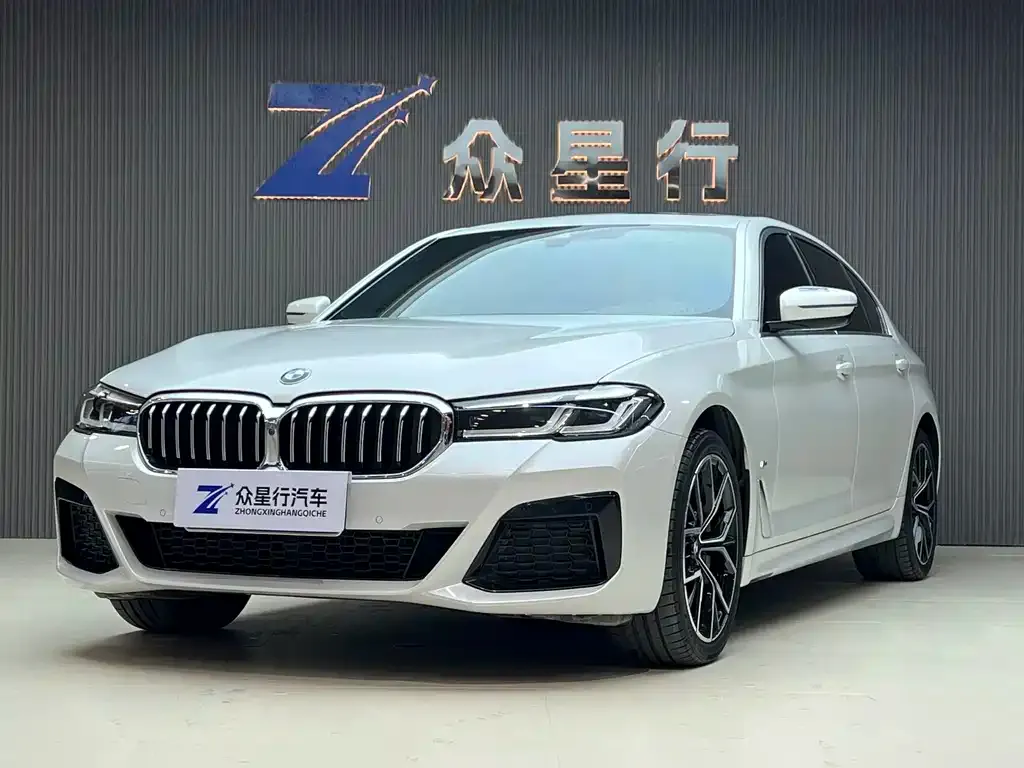 BMW 5 Series 2022 из CN, фото 1