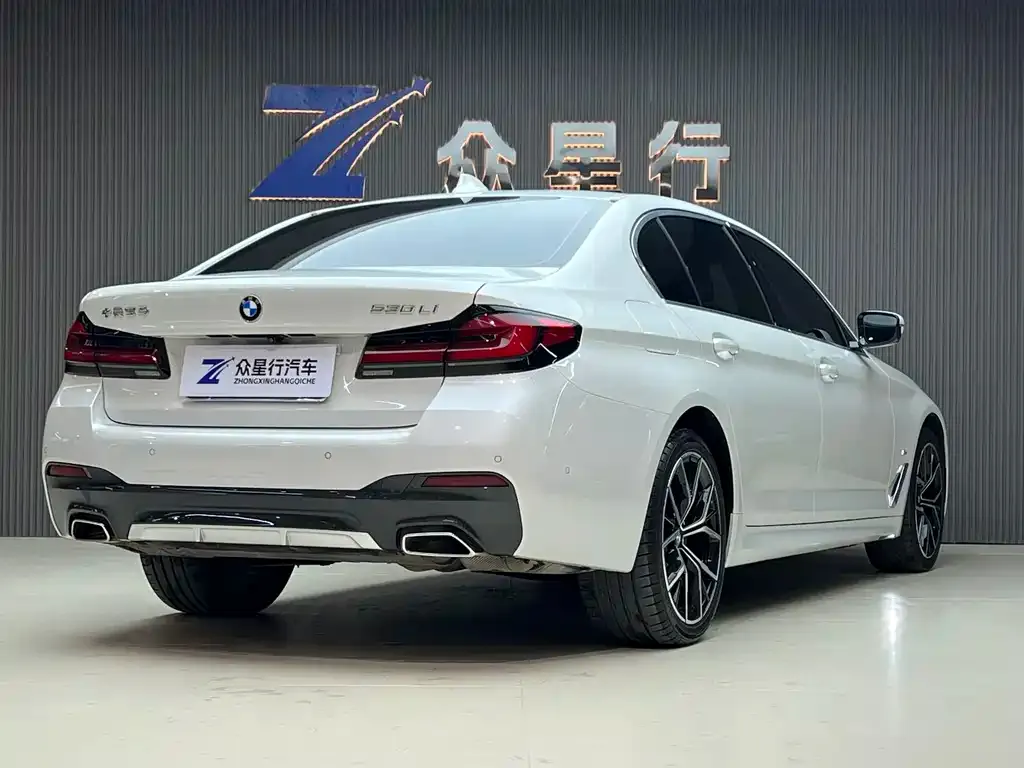 BMW 5 Series 2022 из CN, фото 2