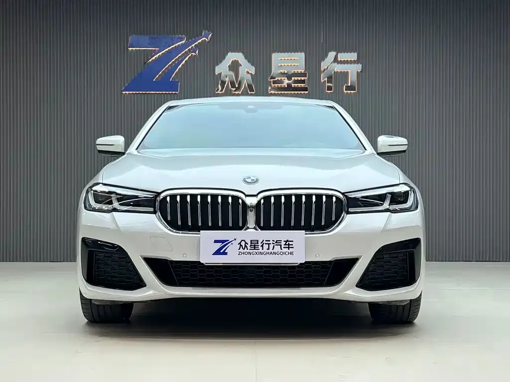 BMW 5 Series 2022 из CN, фото 3