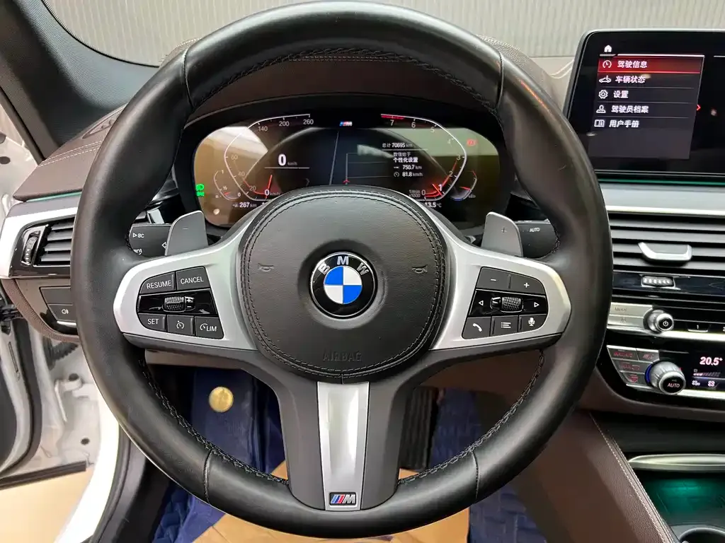 BMW 5 Series 2022 из CN, фото 4