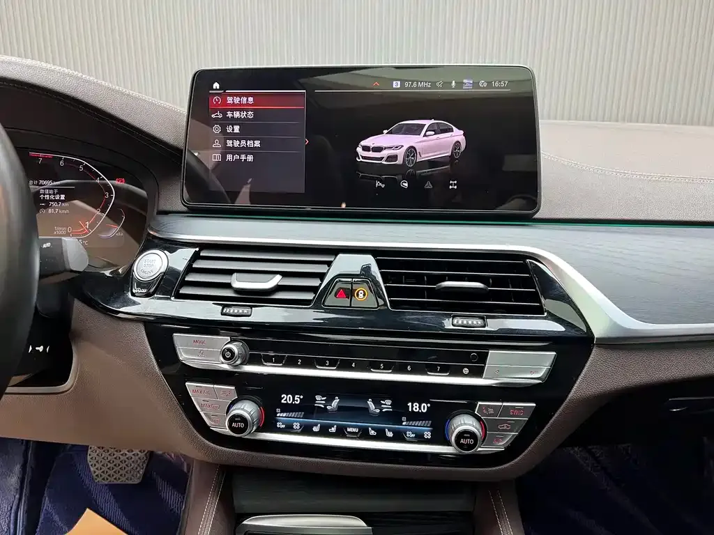 BMW 5 Series 2022 из CN, фото 8