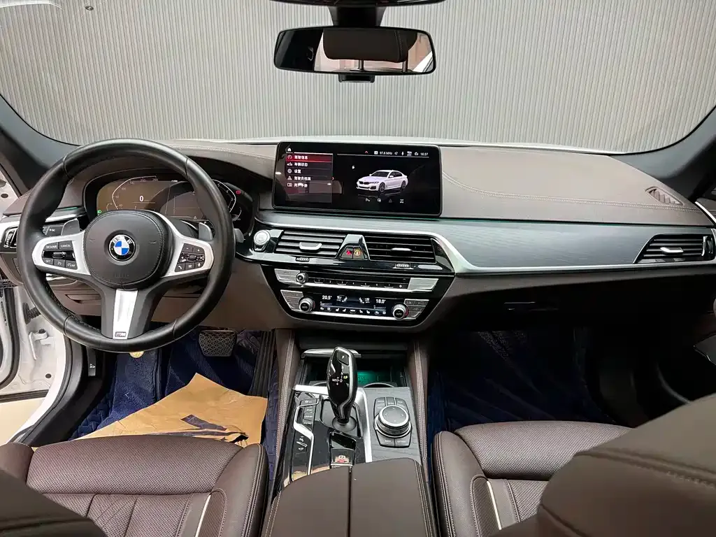 BMW 5 Series 2022 из CN, фото 9