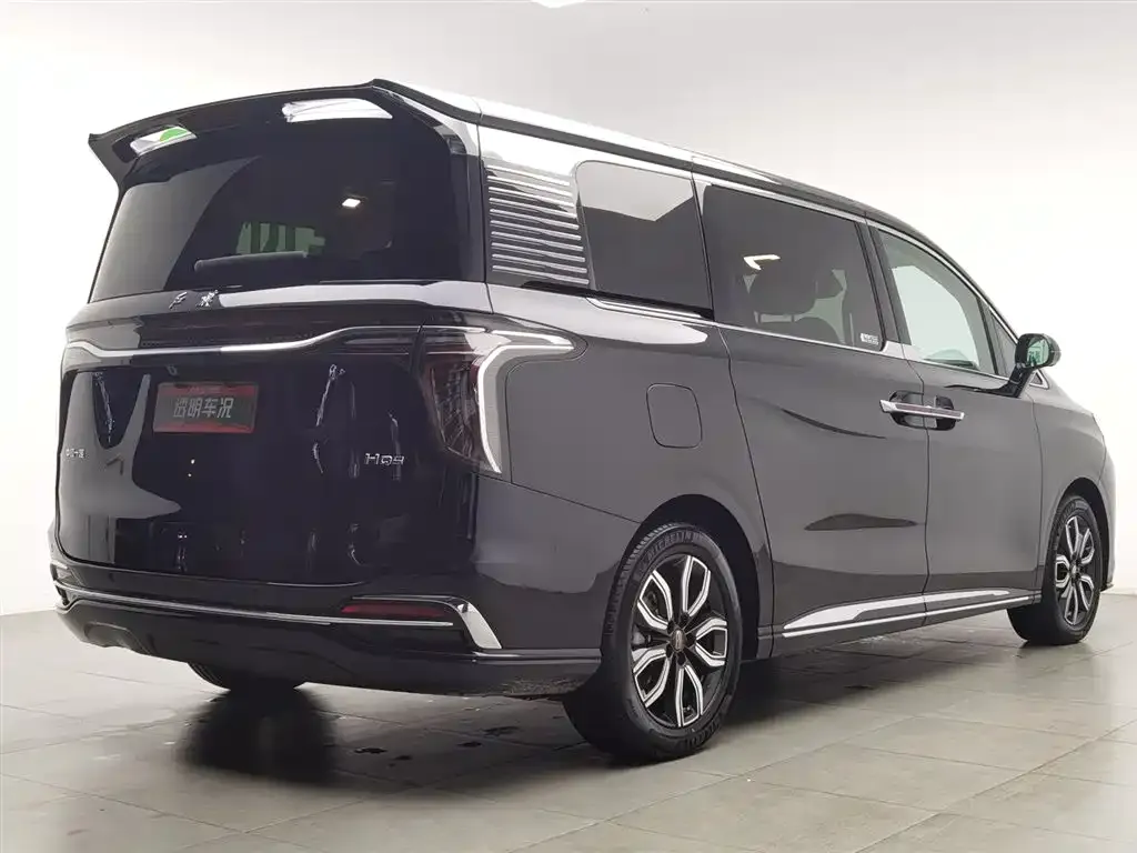 Hongqi HQ9 2023 из CN, фото 2