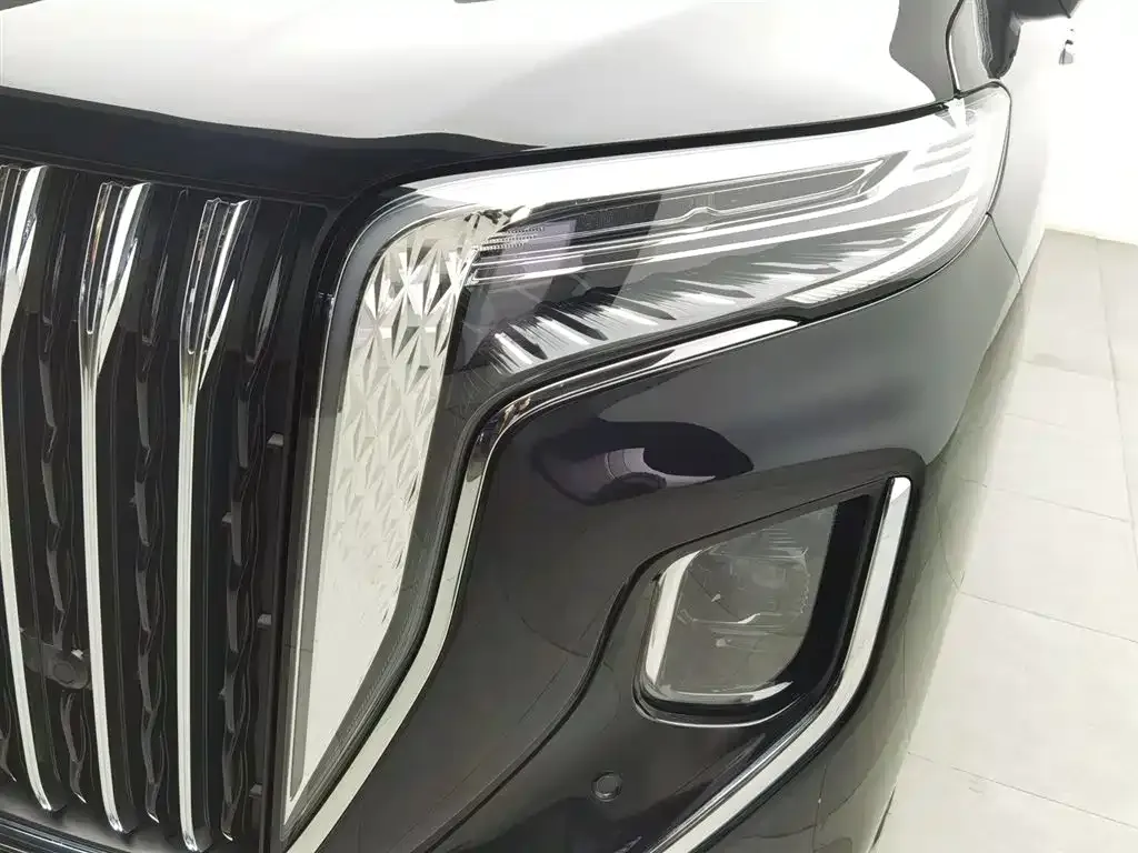 Hongqi HQ9 2023 из CN, фото 7