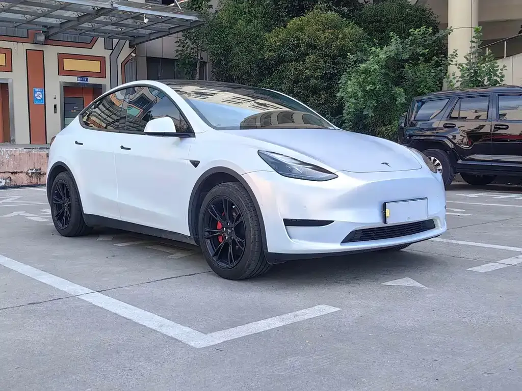 Tesla Model Y 2023 из CN, фото 3