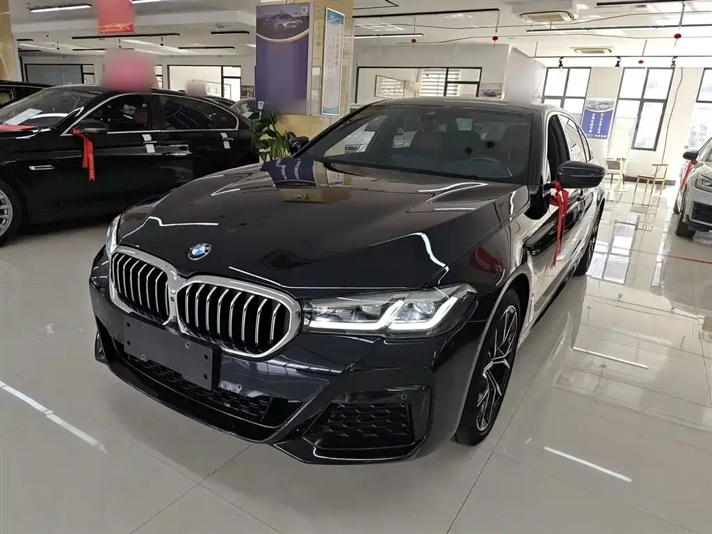 BMW 5 Series 2023 из CN, фото 2