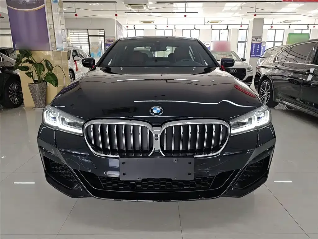 BMW 5 Series 2023 из CN, фото 3