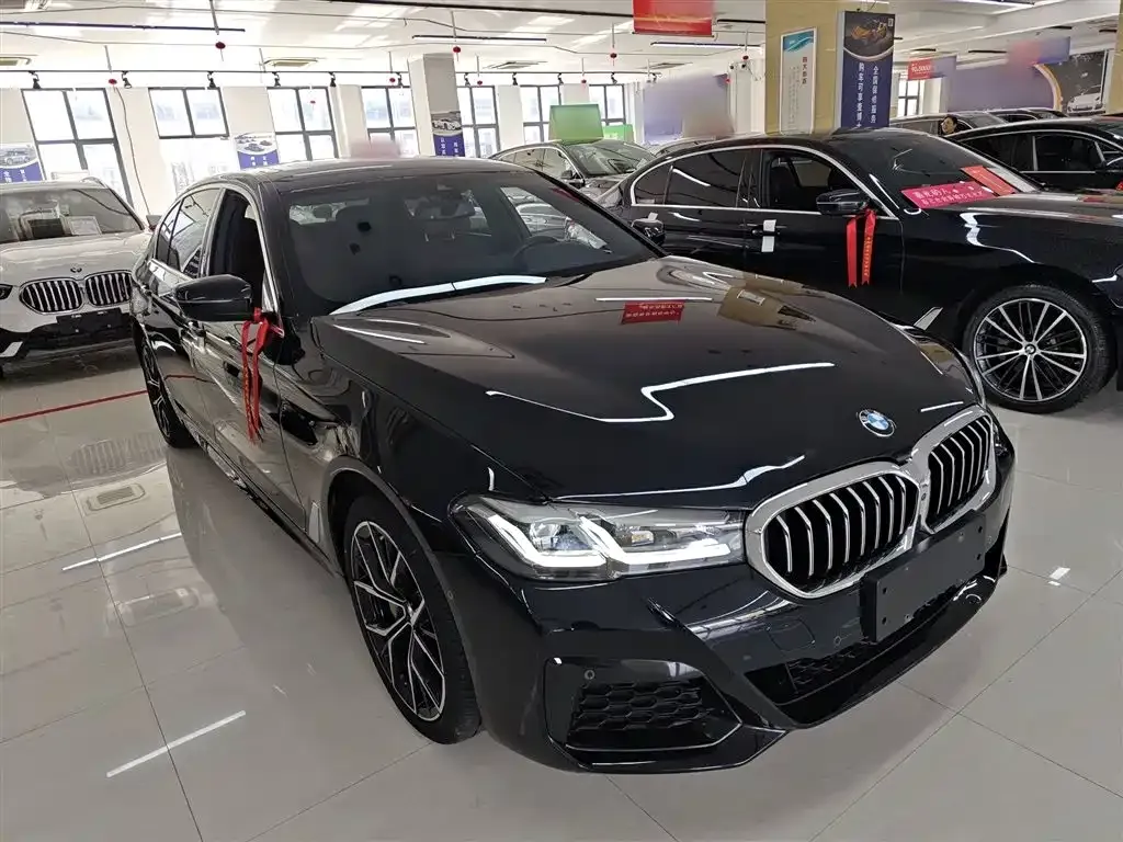 BMW 5 Series 2023 из CN, фото 4