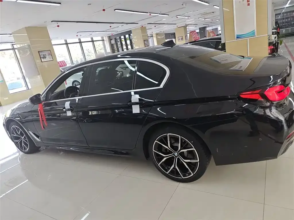 BMW 5 Series 2023 из CN, фото 5