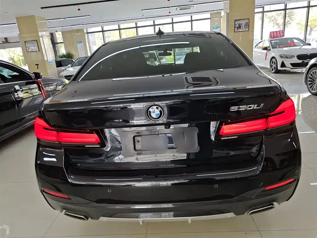 BMW 5 Series 2023 из CN, фото 6