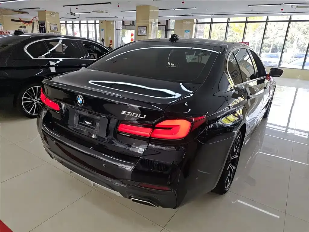 BMW 5 Series 2023 из CN, фото 7