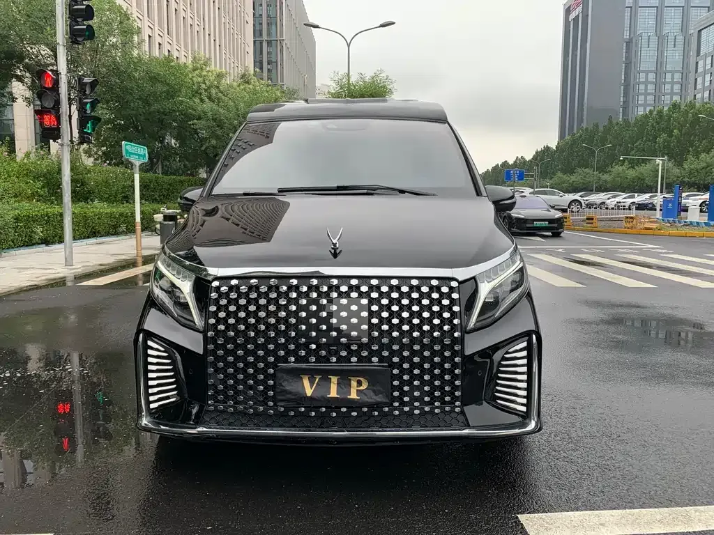 Mercedes-Benz V-Class 2022 из CN, фото 2