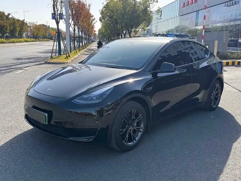 Tesla Model Y 2024 из CN, фото 1
