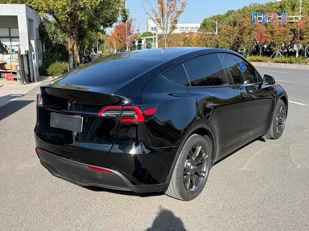 Tesla Model Y 2024 из CN, фото 5
