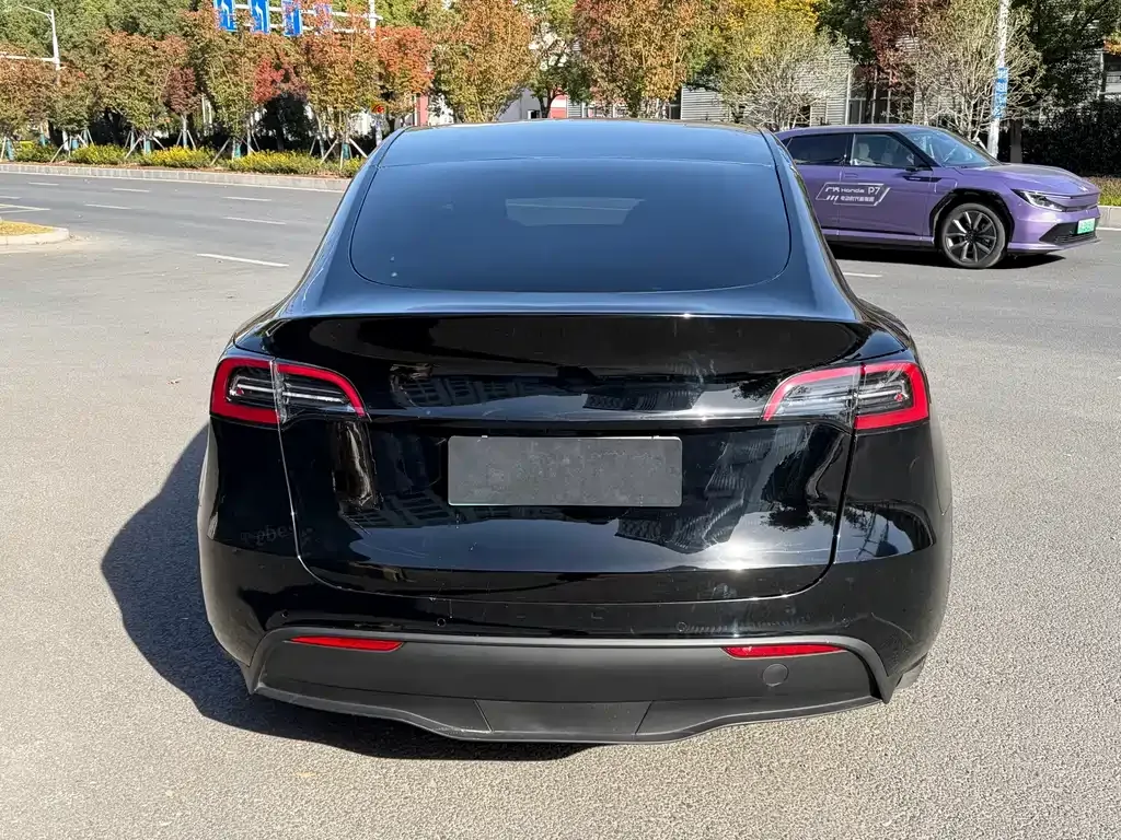 Tesla Model Y 2024 из CN, фото 6