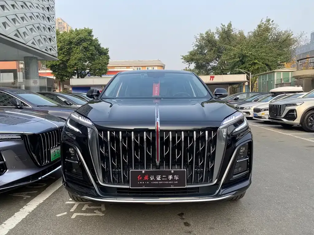 Hongqi HS3 2024 из CN, фото 3