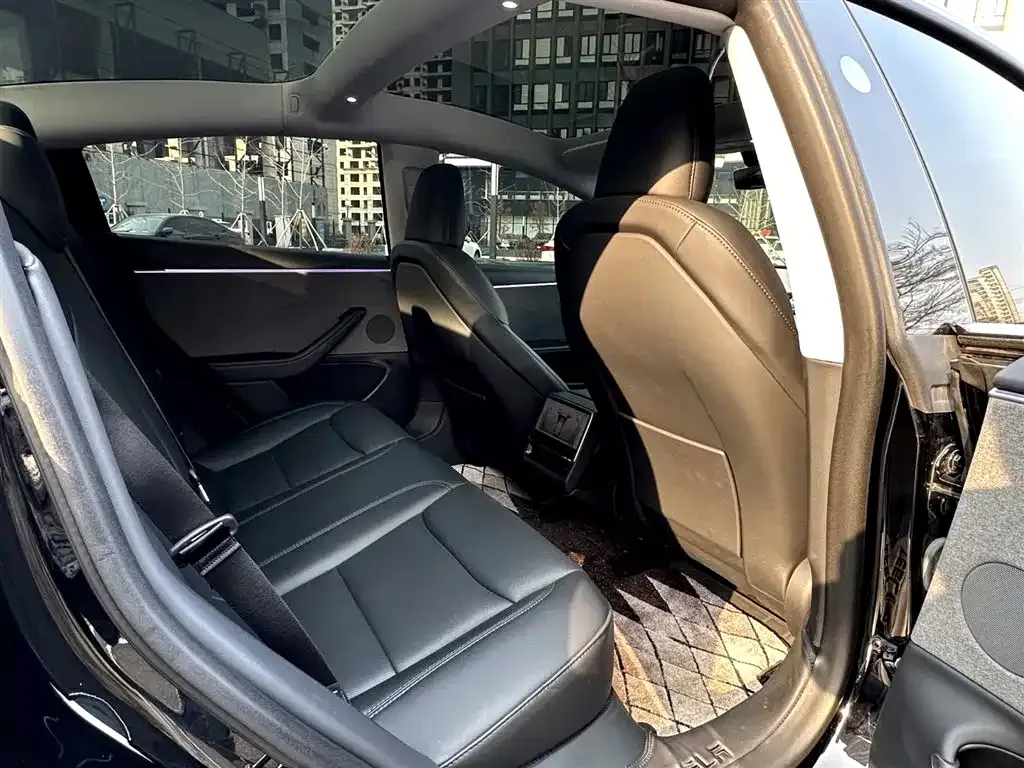 Tesla Model 3 2023 из CN, фото 7