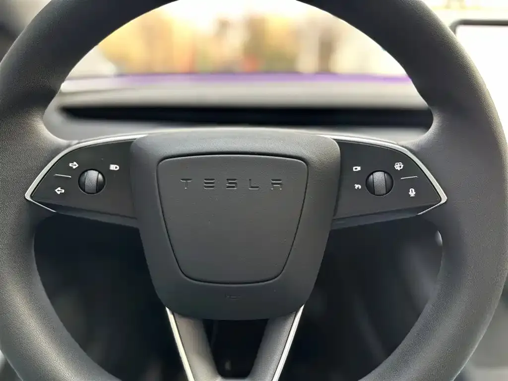 Tesla Model 3 2023 из CN, фото 9