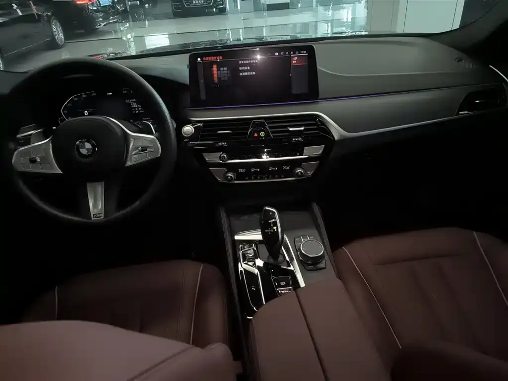 BMW 5 Series 2023 из CN, фото 10