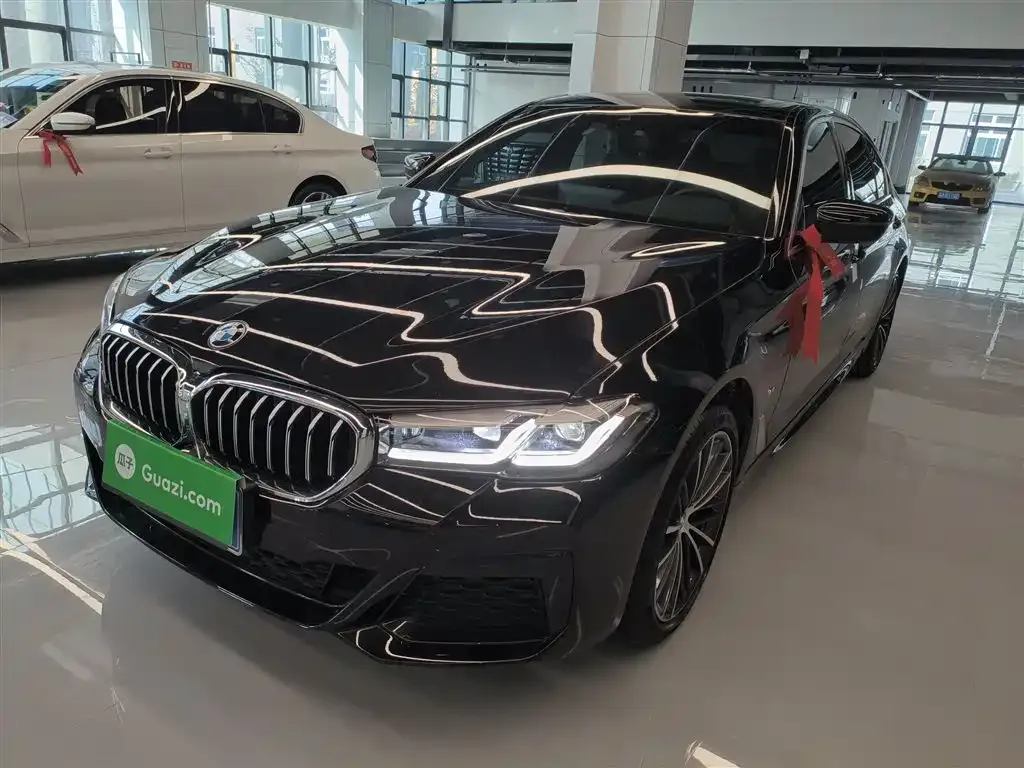 BMW 5 Series 2023 из CN, фото 2