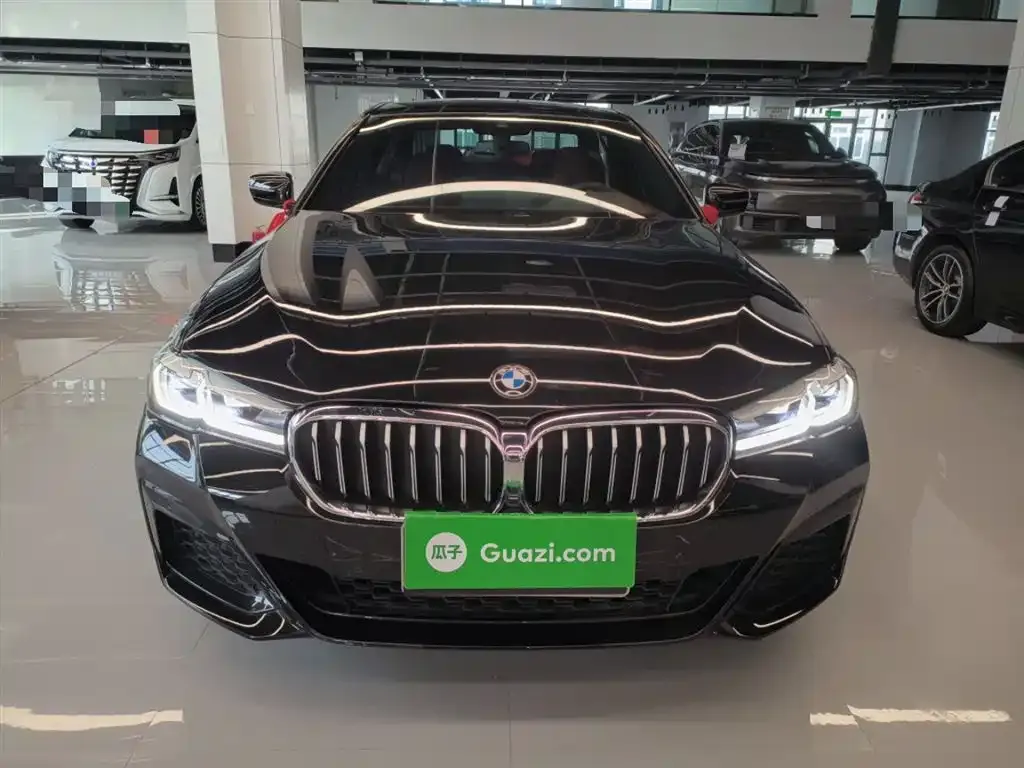 BMW 5 Series 2023 из CN, фото 3