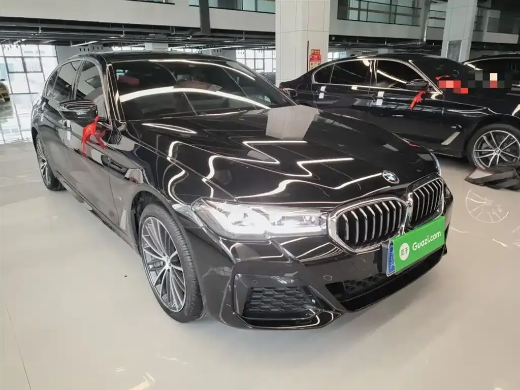 BMW 5 Series 2023 из CN, фото 4