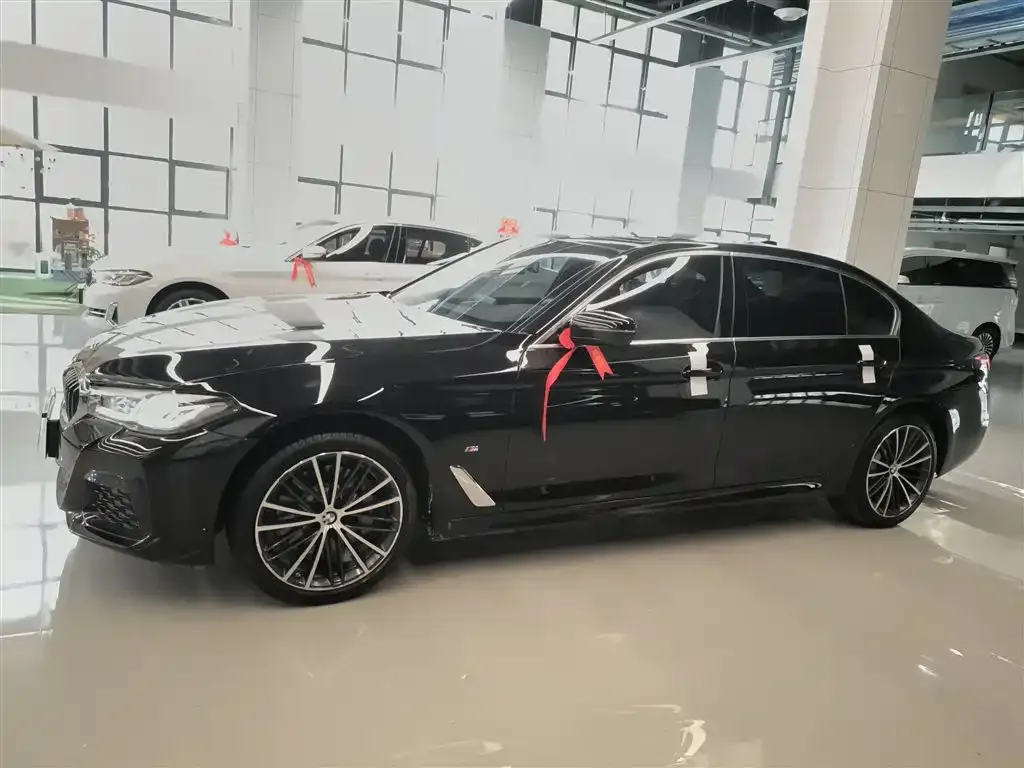 BMW 5 Series 2023 из CN, фото 5