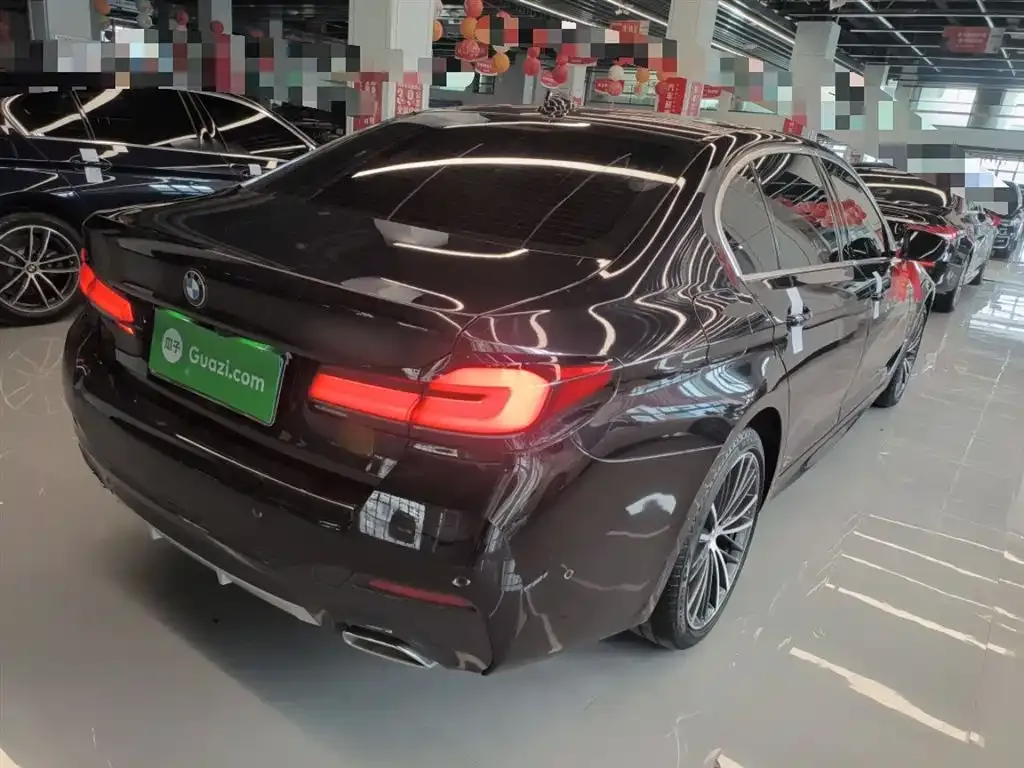 BMW 5 Series 2023 из CN, фото 7