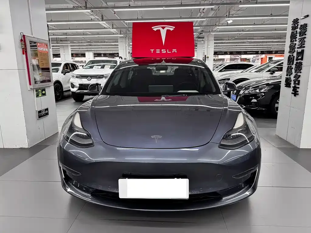 Tesla Model 3 2021 из CN, фото 2