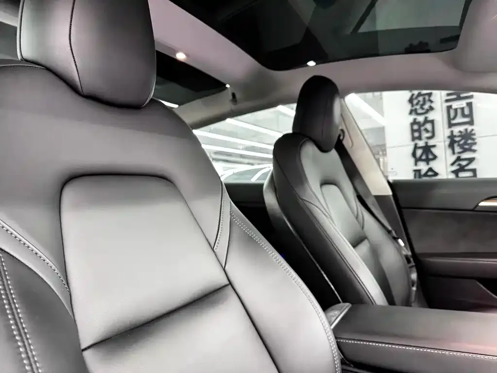 Tesla Model 3 2021 из CN, фото 5