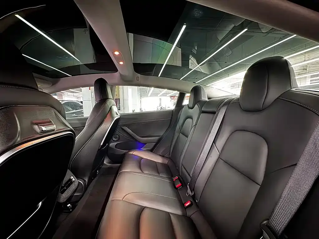 Tesla Model 3 2021 из CN, фото 8