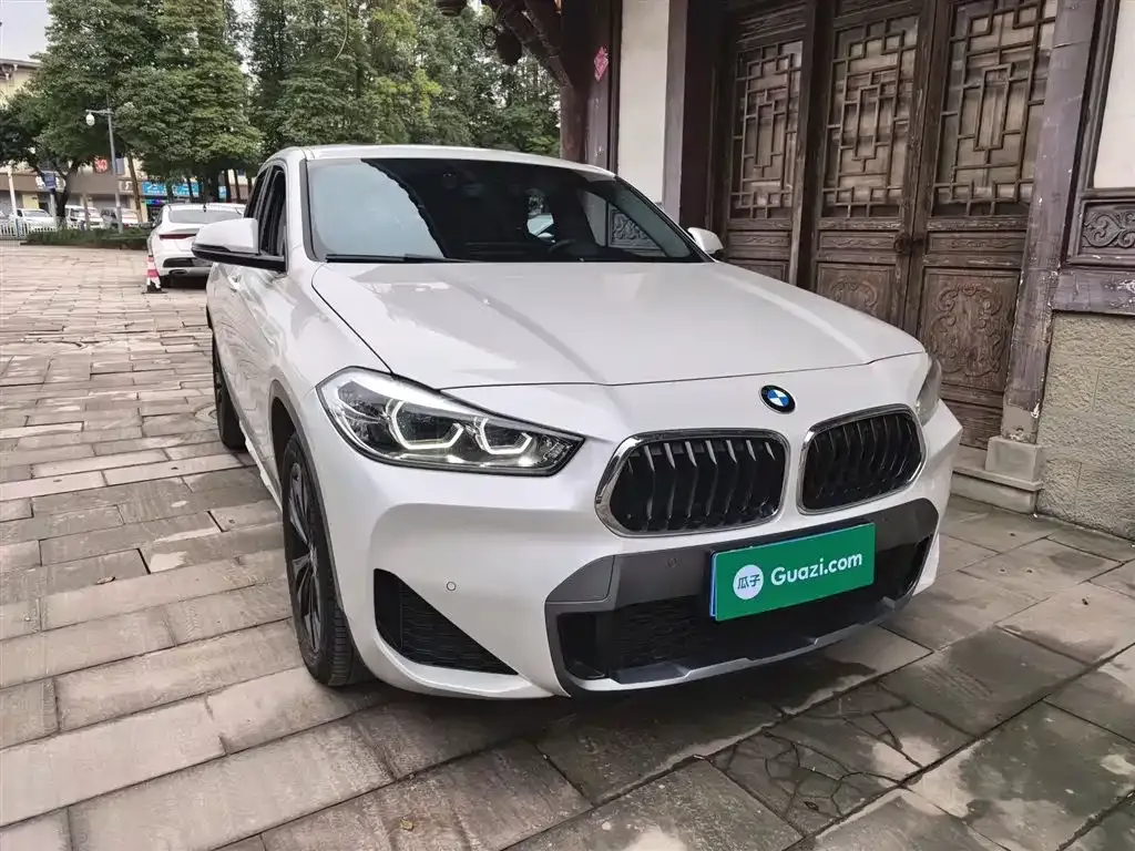 BMW X2 2023 из CN, фото 4