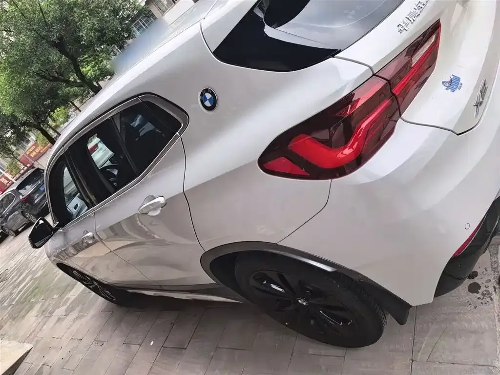 BMW X2 2023 из CN, фото 5