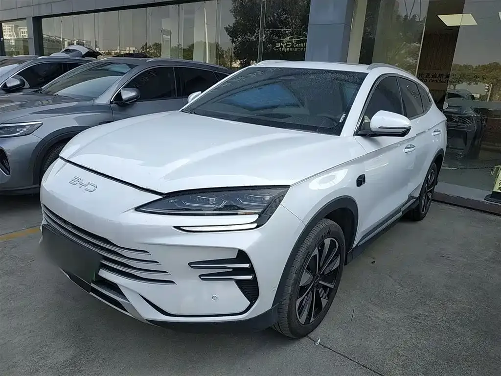 BYD PLUS New Energy 2025 из CN, фото 2