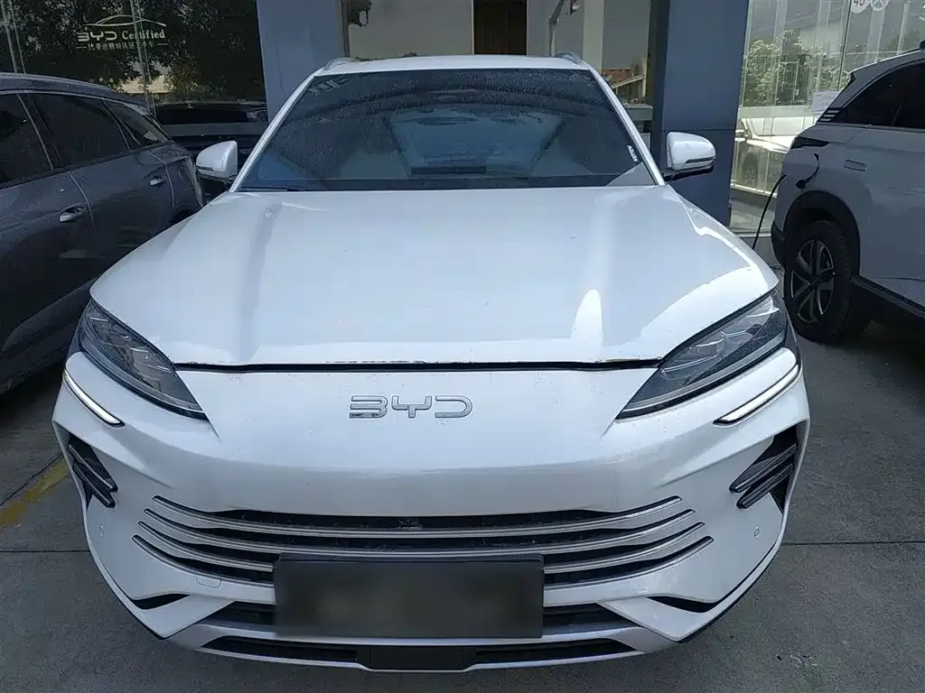 BYD PLUS New Energy 2025 из CN, фото 3