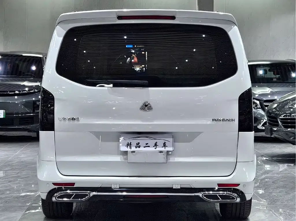 Mercedes-Benz Vito 2021 из CN, фото 5