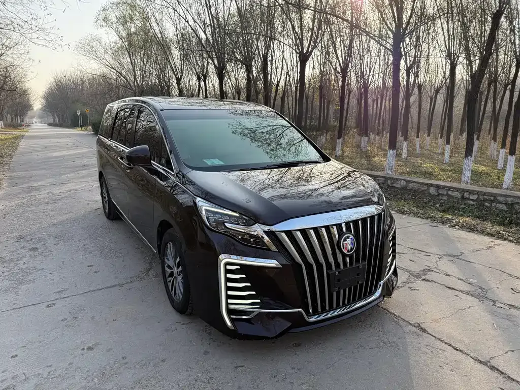 Buick GL8 2021 из CN, фото 3