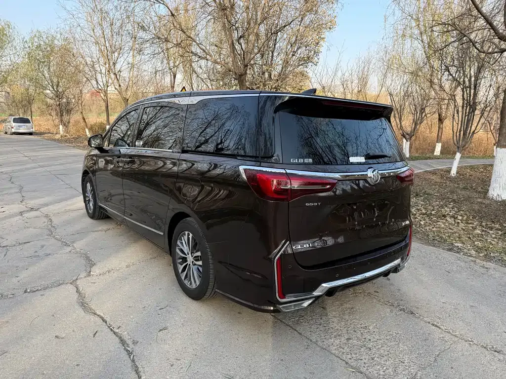 Buick GL8 2021 из CN, фото 6