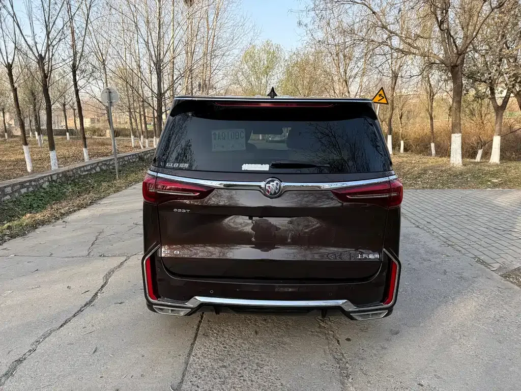 Buick GL8 2021 из CN, фото 7